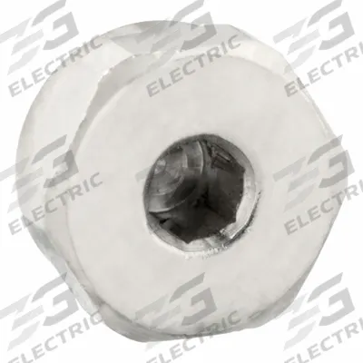 LEGRIS Plug: Hex Drive Cored Plug, 5 mm, Metric Threaded, Nickel-Plated Brass - Nickel-Plated Threaded Low-Pressure Pipe Fittings