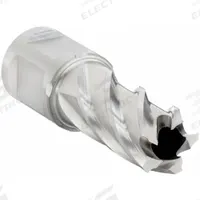 SLUGGER BY FEIN Annular Cutter: 17 mm Cutter Dia, 1 in Max Cutting Dp, Bright, High Speed Steel (MPN 63134170103). Key specifications — attr253884: No; attr253885: Bright; attr253886: High Speed Steel; attr253887: Weldon Flat; attr253888: Metric; attr277149: SLUGGER BY FEIN.