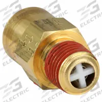 CONTROL DEVICES Check Valve: In Line, Brass, 1/4 in FPT, 1/4 in (M)NPT, 250 psi Max. Pressure (MPN P2525-1WA). Key specifications — attr291949: 1/4 in FPT; attr291950: 1/4 in (M)NPT; attr291957: Brass; attr294749: CONTROL DEVICES.