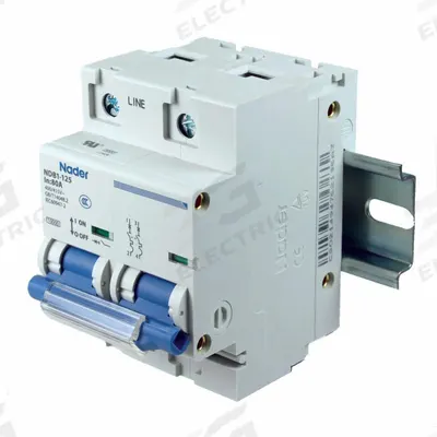 NADER Circuit Breaker: 80 A Amps, 60V DC, 10 kA at 480 V AC, Screw Clamp, 240V AC - C-Curve, 2-Pole UL1077 DIN Rail-Mount Supplementary Protectors