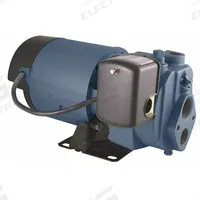 FLINT & WALLING Convertible Well Jet Pump: Cast Iron, Single Phase, 115/230V AC, 1 hp, 10.8 gpm (MPN EK10). Key specifications — Brand: FLINT & WALLING; Rated Voltage: 115/230V AC; Includes: Pressure Switch; Ejector Included: No Ejector Included; Ejector: Not Included.