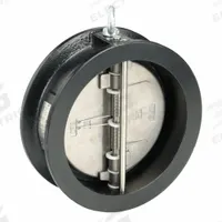 KECKLEY Check Valve: Double Disc, Inline Valve Body, 8 in Pipe Size, Wafer, Cast Iron, Wafer, Wafer (MPN DD1F-CI-34136-800). Key specifications — Brand: KECKLEY.