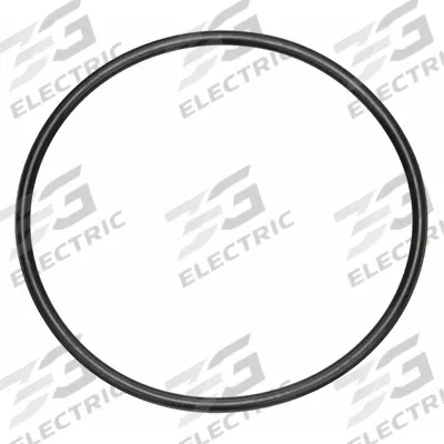 BALDWIN FILTERS O-Ring: Fuel Filter, O-Ring, Buna-N, 13/64 in Lg - Fuel Filter Accessories