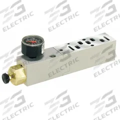 PARKER Manifold Air Regulator: 1.1 cfm Max Flow Rate, 5 psi to 125 psi, 120°F Max Op Temp, 15407-2 (MPN PS5538166P)