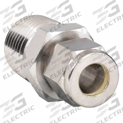 PARKER Compression Fitting Adapter: 1/8 in OD x 1/4 in Pipe Fitting Size - Double-Ferrule Stainless Steel Fittings