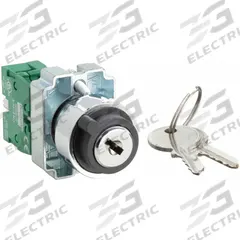 DAYTON Selector Switch: 2 Position, 22 mm Panel Mounting Size, 1NO (MPN 30G269). Key specifications — Manufacturer Part Number: 30G269; Brand: DAYTON; Switch Action: Maintained/Maintained; Contact Form: 1NO; Key Removal Position: Left.