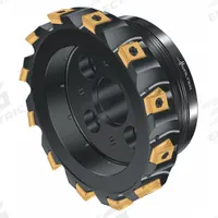 WALTER Indexable Face Mill: F5241.B40.160.Z12.15 (MPN 6316865). Key specifications — attr256955: F5241.B40.160.Z12.15.