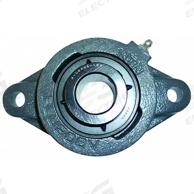 NTN 2 Bolt Flange Bearing: Radial Ball, 1 7/16 in Bore, Cast Iron, Set Screws - General Purpose Flange-Mount Ball Bearings