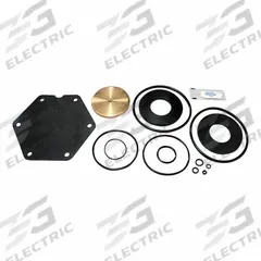 WATTS Backflow Preventer Repair Kit: Complete Rubber Parts Kit, 793PG1/793PG2/793PG3/793PG5, 909 (MPN LFRK 909-RT 2-1/2-3). Key specifications — Compatible Valve Size: 2-1/2 in to 3 in; Compatible with Grainger Part No.: 793PG1; Compatible with Series: 909; Compatible with Mfr. Model No.: 2-1/2-3 LF909; Includes: RV Disc Assembly.