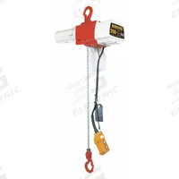 HARRINGTON Electric Chain Hoist: H2 - Light Duty, 120V AC, Hook Mounted - No Trolley, 2 Speeds (MPN ED250DS-10). Key specifications — Brand: HARRINGTON; Includes: Pendant; Operating Voltage: 120V AC; Headroom Clearance: 28 in - 30 in.