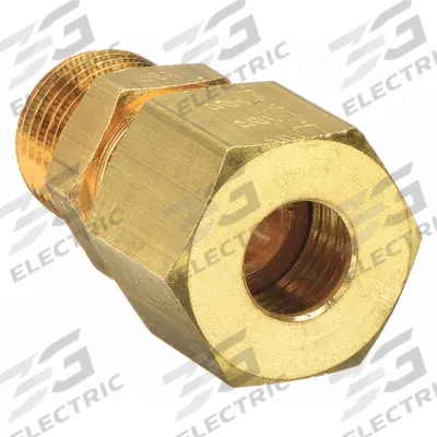 LEGRIS Compression Fitting Adapter: 8 mm OD x 1/8 in Pipe Fitting Size, Compression x MBSPT - Standard Sleeve Brass Compression Fittings