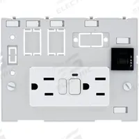 MURRELEKTRONIK Combination Insert: (2) NEMA 5-15 GFCI, (1) 3A Fuse, 125 V AC Socket Volt Rating (MPN 4000-68000-4140000). Key specifications — Brand: MURRELEKTRONIK; Socket Configuration: (2) NEMA 5-15 GFCI; Resets: (1) 3A Fuse; Insert Design: Power Insert with 3A Reset.