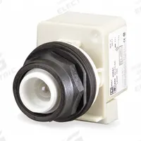 SCHNEIDER Extended Push Button: 30 mm Mounting Size, Non-Metallic, Momentary (MPN 9001SK2L1). Key specifications — Brand: SCHNEIDER; Action: Momentary; Series: 9001SK; Push Button Material Type: Non-Metallic.