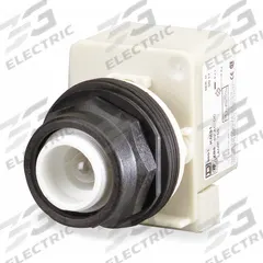 SCHNEIDER Extended Push Button: 30 mm Mounting Size, Non-Metallic, Momentary (MPN 9001SK2L1). Key specifications — Brand: SCHNEIDER; Action: Momentary; Series: 9001SK; Push Button Material Type: Non-Metallic.