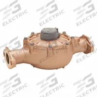BADGER Positive Displacement Flowmeter: Disc Meter, Water, Bronze, 2 in Flange, 2 in Connection Size (MPN 107-7152). Key specifications — Display Type: Digital; Brand: BADGER; O-Ring Material: Ethylene Propylene; Accuracy: +/-1.5%; Seal Material: EPDM; Unit Of Measure: Gallons.