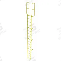 TRI-ARC Ladder,Walk-Thru Fixed,Steel,17-Rung: 20 ft Overall Ht, 28 in Overall Wd, Steel, 17 Rungs (MPN WLFS0217-Y). Key specifications — Brand: TRI-ARC; Number of Sections: 1.