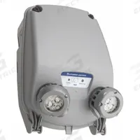Emergency Light: 6.6 W Lamp Watt, 32 W Emergency Watt, 120 to 347V AC, 2 Lamp Heads, Plastic, Gray (MPN INDL SP640L UVOLT LTP EHO SDRT). Key specifications — Input Voltage: 120 to 347V AC; Housing Material: Plastic; Mounting Type: Surface; Housing Color: Gray; Lighting Technology: LED; CA Title 20 Compliant: Yes; Environmental Rating: Wet Location Rated; IP Rating: Not Rated.