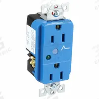 HUBBELL Receptacle: Duplex, 5-15, Blue, 125V AC, 15 A, 2 Pole / 3 Wire (MPN HBL5262SA)
