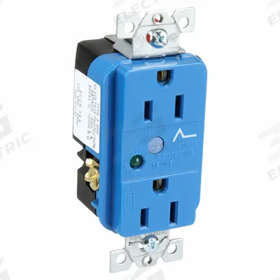 HUBBELL Receptacle: Duplex, 5-15, Blue, 125V AC, 15 A, 2 Pole / 3 Wire (MPN HBL5262SA) - General Purpose Receptacles