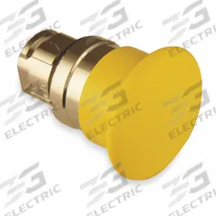 SCHNEIDER Mushroom Head Push Button: 22 mm Mounting Size, Metallic, Maintained (MPN ZB4BS55). Key specifications — Brand: SCHNEIDER; Action: Maintained; Series: XB4; Push Button Material Type: Metallic.