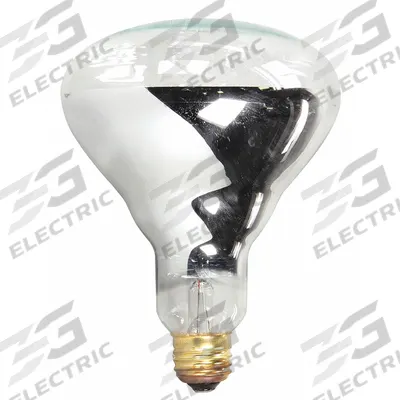 APW WYOTT Heat Lamp Bulb: 1 Bulb - Heat Lamps