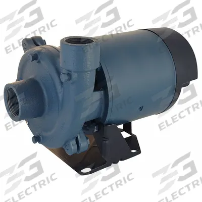 FLINT & WALLING Booster Pump: 3/4 hp, Three Phase, 208-230/460V AC - Horizontal Booster Pumps