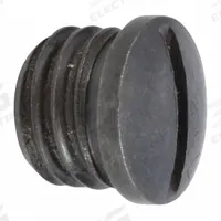 WESTWARD Throttle Plug: Mfr Part # PN5ZL11005G, Throttle Plug. Key specifications — attr948908: PN5ZL11005G; attr948910: 5ZL11G; attr948916: Throttle Plug.