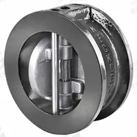 KECKLEY Check Valve: Double Disc, Inline Valve Body, 10 in Pipe Size, Wafer, Cast Iron, Wafer, Wafer (MPN DD1F-CI-34136-910). Key specifications — Brand: KECKLEY.
