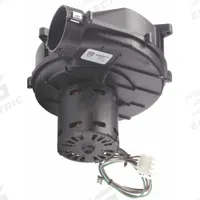 FASCO Draft Inducer: Furnace, Rheem/RUUD, 70-24033-01/70623861/70624537/70625177/FB-RFB136, 115V AC (MPN A136). Key specifications — Replacement For Manufacturer Model Number: FB-RFB136; Brand: FASCO; Manufacturer Part Number: A136; Compatible with Brand: Rheem; Nameplate Voltage: 115V AC.