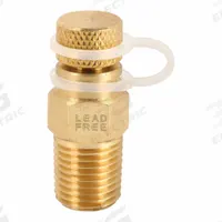 WINTERS Pressure Test Plug: Lead Free Brass, 1/4 in NPT, 1.4 in Overall Lg (MPN STP001LF). Key specifications — Brand: WINTERS; Body Material: Lead Free Brass.
