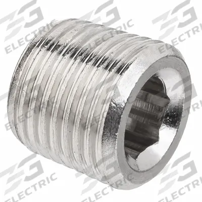 APPROVED VENDOR Plug: Hex Drive Solid Plug, 1/4 in, NPTF Threaded, Class 1000 - Nickel-Plated Threaded High-Pressure Pipe Fittings
