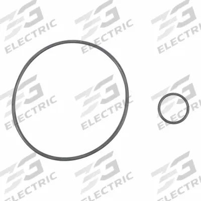 FILL-RITE EPDM O-Ring Meter Kit: O-Ring Kit, Fill-Rite, 4RP95/6XGW9 - Pumps