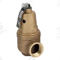 APOLLO Relief Valve: FNPT x FNPT, 3/4 in x 1 in, Bronze, 160 psi Max. Op Pressure (MPN 1061405). Key specifications — Brand: APOLLO.