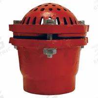DIXON VALVE & COUPLING Foot Valve: Cast Iron, 2 in Pipe Size, Pumps, NPT (MPN DFVS25). Key specifications — Brand: DIXON VALVE & COUPLING.