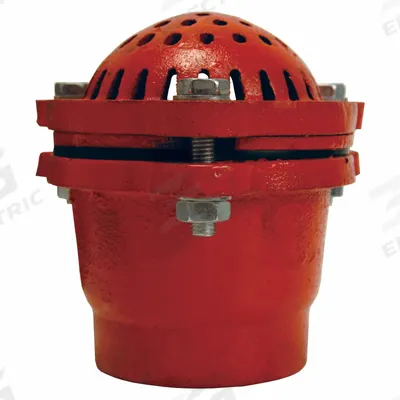 DIXON VALVE & COUPLING Foot Valve: Cast Iron, 2 in Pipe Size, Pumps - Foot Valves