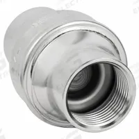 BONOMI Check Valve: Swing, Inline Valve Body, 3/4 in Pipe Size, FNPT x FNPT, 316 Stainless Steel (MPN S250-3/4"). Key specifications — Brand: BONOMI.