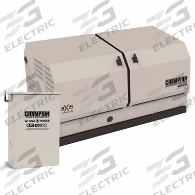 CHAMPION POWER EQUIPMENT Generator: Natural Gas/Propane, Air, Single Phase - Air-Cooled Generators for Natural Gas & Propane Fuel