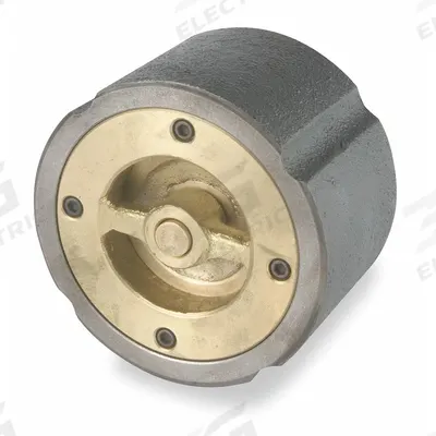 SSI Silent Check Valve: Swing, Inline Valve Body, 3 in Pipe Size, Wafer, Cast Iron - Cast Iron Wafer Disc Check Valves