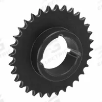 TRITAN Bushed Roller Chain Sprocket: For 50 Chain, 32 Teeth, 6.376 in Pitch Dia, 6.72 in Outside Dia (MPN 50BTL32). Key specifications — attr85388: TRITAN; attr305233: 2012.