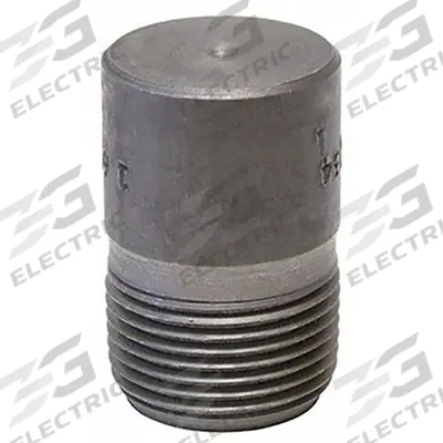 ANVIL Plug: 2 in, NPT Threaded, 2,000 psi @ 150° F, Steel - Threaded High-Pressure Pipe Fittings