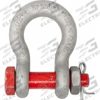CROSBY Anchor Shackle: Anchor Shackle, 14,000 lb Working Load Limit, 1 1/4 in Wd Between Eyes, Red (MPN 1021047). Key specifications — Body Color: Silver; Brand: CROSBY.