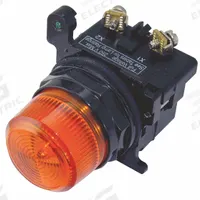EATON Pilot Light: 30 mm Panel Mounting Size, Amber, LED, 12 V AC/DC Max Volt Rating (Supply) (MPN E34FB197LAP12). Key specifications — Series: E34; Brand: EATON.