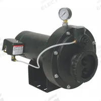 DAYTON Convertible Well Jet Pump: Thermoplastic, Single Phase, 115/230V AC, 1 hp, 100 ft Head (MPN 4HEZ6). Key specifications — Brand: DAYTON; Rated Voltage: 115/230V AC; Includes: Pressure Gauge; Ejector Included: No Ejector Included; Ejector: Not Included.