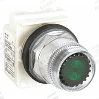 SCHNEIDER Flush Push Button: Green, 30 mm Mounting Size, Metallic, Momentary (MPN 9001K1L1G). Key specifications — Brand: SCHNEIDER; Action: Momentary; Series: 9001K; Push Button Material Type: Metallic.