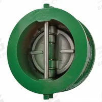 MUELLER STEAM SPECIALTY Double Disc Check Valve: Double Disc, Inline Valve Body, 2 1/2 in Pipe Size (MPN 21/2 71AHB3H). Key specifications — Brand: MUELLER STEAM SPECIALTY.