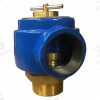 CONTROL DEVICES Blower Relief Valve: Pressure/Vacuum, 5 psi Preset Limit, 2 1/2 in NPT Inlet Size (MPN NBR25-0T005). Key specifications — attr49959: NBR25-0T005; attr49962: CONTROL DEVICES.