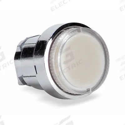 SCHNEIDER Flush Push Button: Clear, 22 mm Mounting Size, Metallic - Illuminated Flush-Mount Push-Button Operators