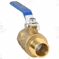APPROVED VENDOR Manual Two-Way Ball Valve: 1 in, Straight, MNPT x FNPT, 600 psi Max. Pressure (CWP) (MPN 6GD25). Key specifications — Brand: APPROVED VENDOR; Handle: Lever.
