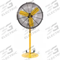 BIG ASS FANS Freestanding Fan: 30 in Blade Dia, Variable Speeds, 1/3 hp Motor HP, Non-Oscillating (MPN F-AE1-3001L10S34). Key specifications — Voltage: 120V AC; Brand: BIG ASS FANS; Number of Speeds: Variable; Oscillation: Non-Oscillating; Phase: Single; Application: Industrial.