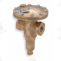CASH VALVE Vacuum Pressure Regulator: Bronze, 2 in Inlet Connection Size, NPTF, NPTF (MPN D51HASBSB01-E1). Key specifications — Brand: CASH VALVE.